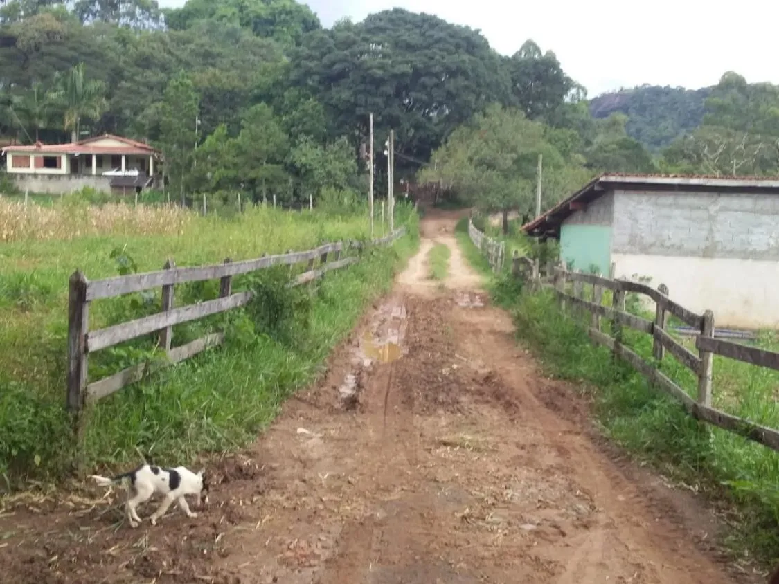 Imagem Terreno Espetacular à Venda em Carmópolis de Minas /MG 42 hectares de terra