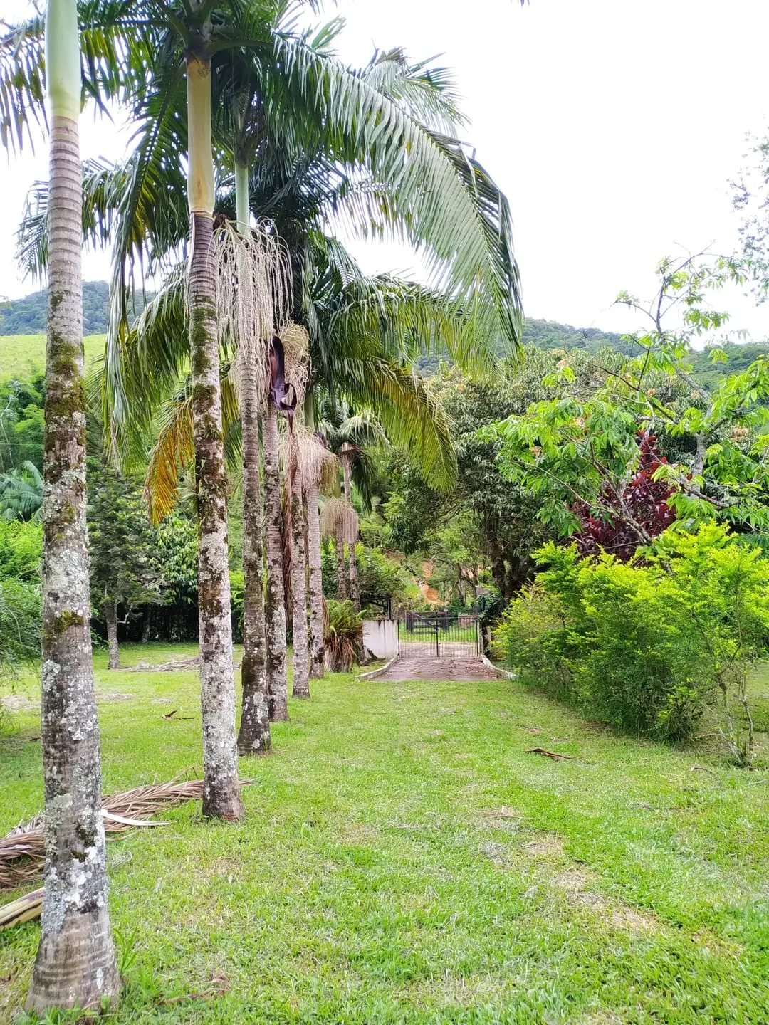 Imagem Chácara à venda 4 Quartos, 1 Suite, 1282600M², Zona Rural, Pindamonhangaba - SP