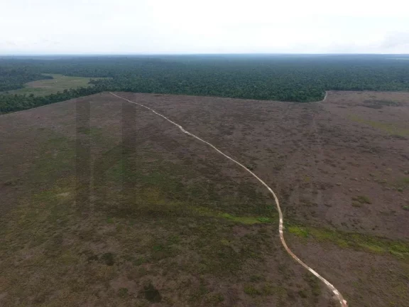 Imagem CASAL IMÓVEIS VENDE FAZENDA EM PARAGOMINAS 700 ALQUEIRES
