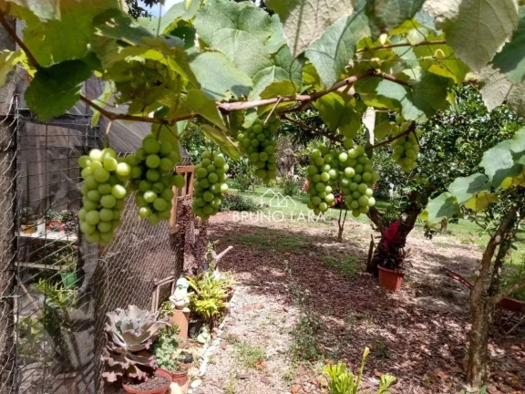 Imagem Terreno à venda em Igarapé MG Condomínio Serra Verde.