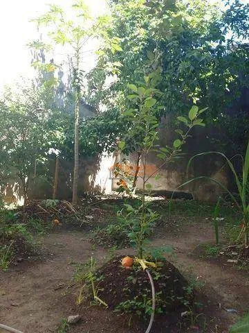 Imagem Sobrado com 2 dormitórios à venda, 450 m² por R$ 399.000,00 - Jardim Adriana - Guarulhos/SP