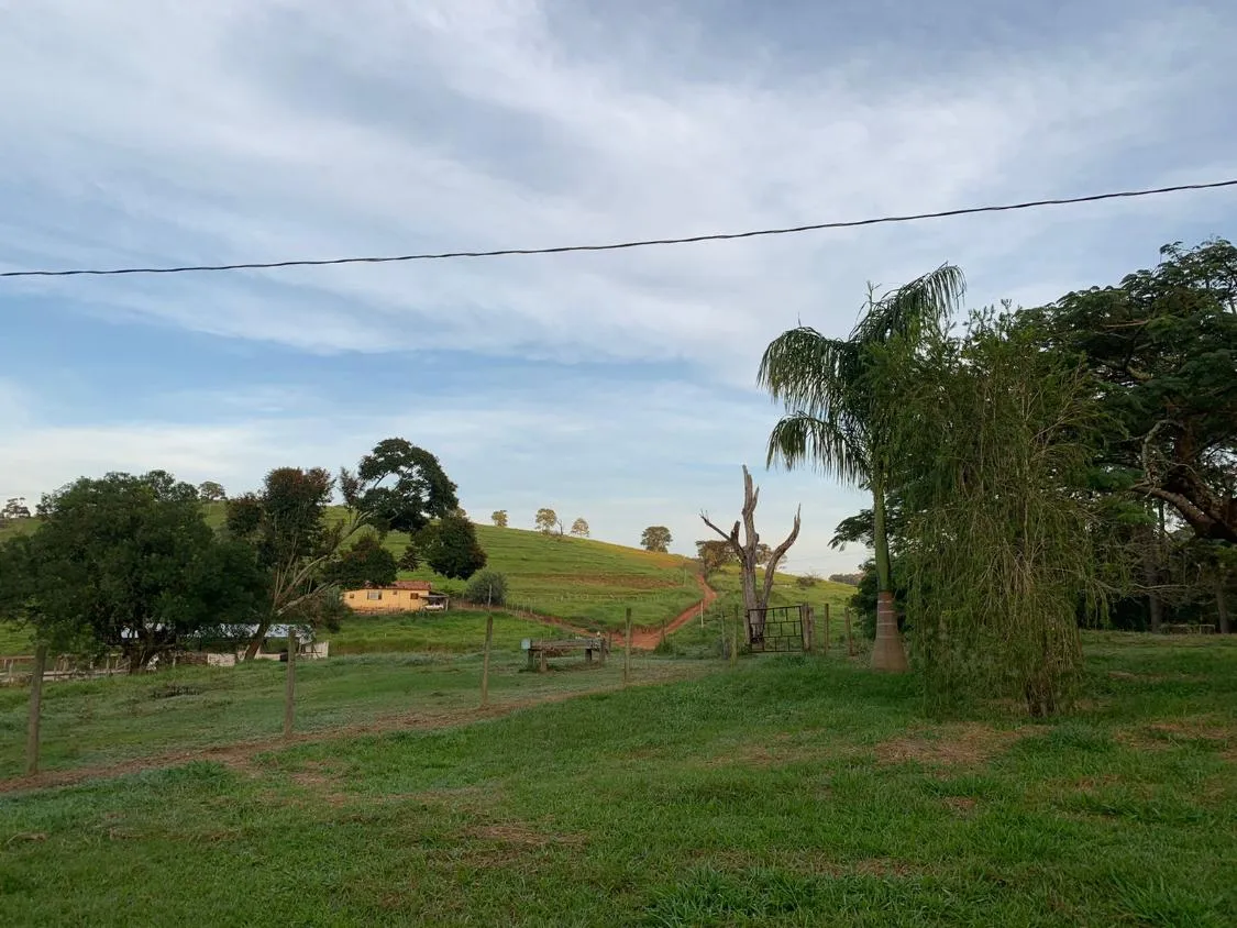 Imagem Vendo uma magnífica fazenda em Santo Antônio do Amparo/MG 318 hectares