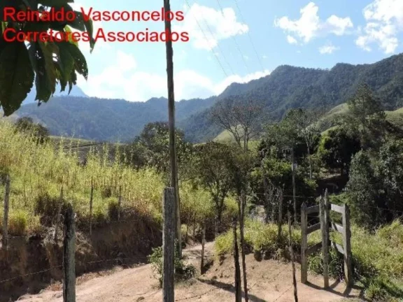 Imagem FAZENDA RURAL À VENDA NA CIDADE DE CRUZEIRO