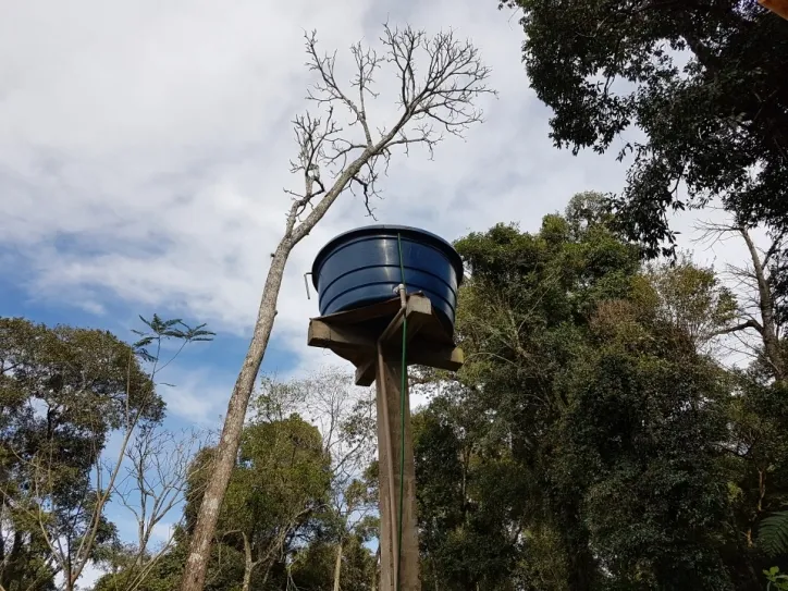 Imagem Chácara 8000m2 com Piscina e Pomar em São Salvador Cascavel