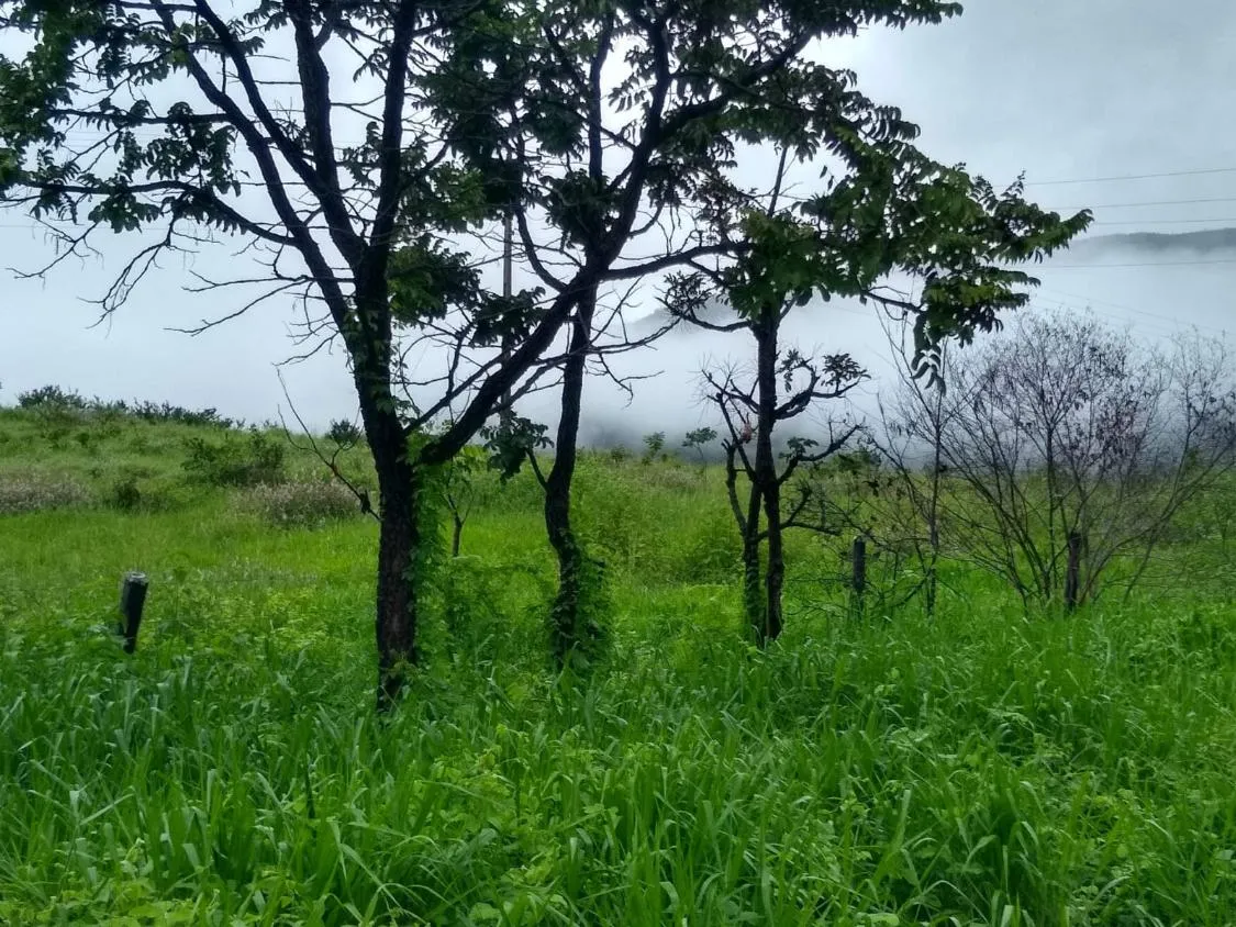 Imagem Oportunidade Imperdível: Fazenda de 1.272 Hectares em Augusto de Lima