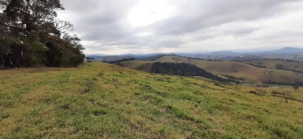 Imagem Chácara à venda 1300000M², Centro, São Lourenço - MG