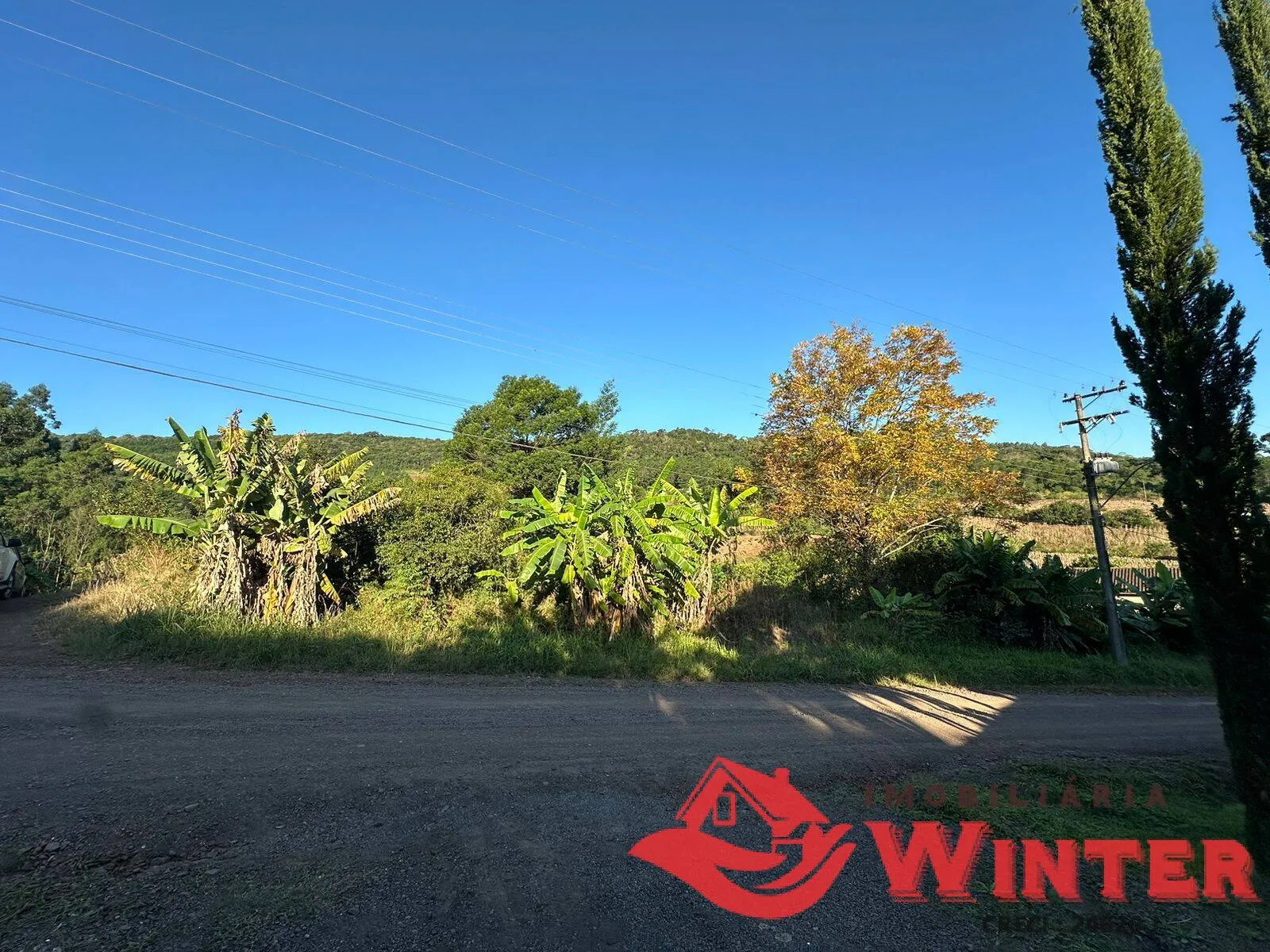 Imagem 10 hectares com Casa na Linha Nova!