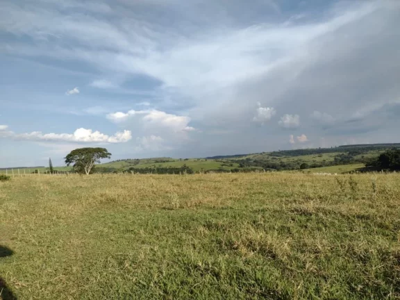 Imagem Sítio a VENDA, Avaí/SP, Área Rural, 10 alqueires