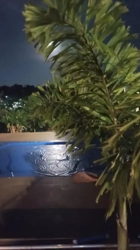 Imagem Excelente Chácara à Venda em Igarapé/MG 2.000 m² de área total,
