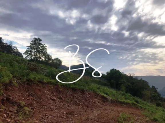 Imagem SITIO RURAL em NOVA PETRÓPOLIS - RS, Linha Pirajá Baixa