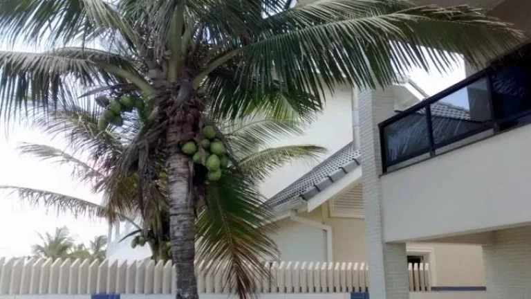 Imagem CASA EM CONDOMINIO FECHADO - FRENTE AO MAR - ESPETACULAR