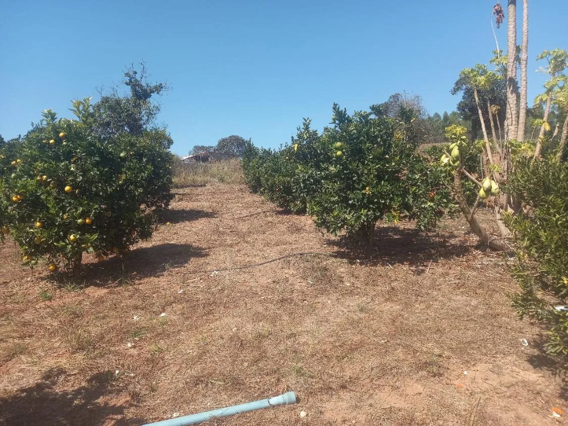 Imagem Excelente Oportunidade: Terreno de 30 Hectares em Passa tempo/MG