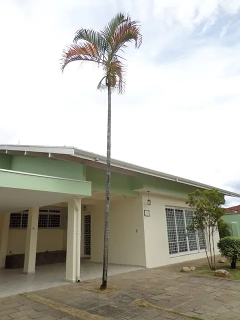 Imagem Casa para Locação 3 Quartos, 1 Suite, 3 Vagas, 600M², Centro, Pindamonhangaba - SP