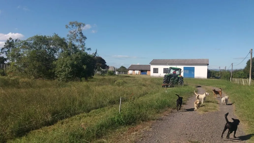 Imagem Sítio em Pedreira