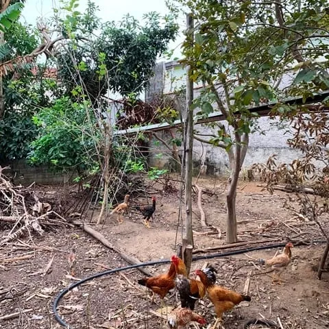 Imagem Terreno à venda 250M², Residencial Mombaça, Pindamonhangaba - SP