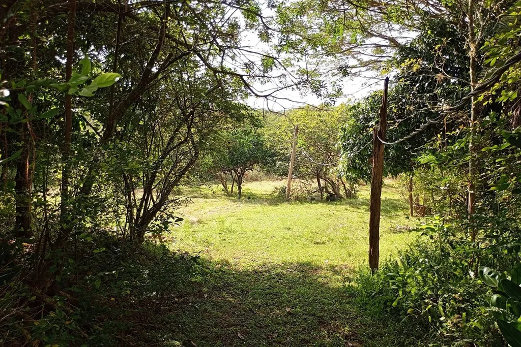 Imagem Fazenda em Belém Novo