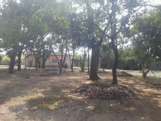 Imagem Chácara à venda 4 Quartos, 1 Suite, Jardim Princesa, Pindamonhangaba - SP