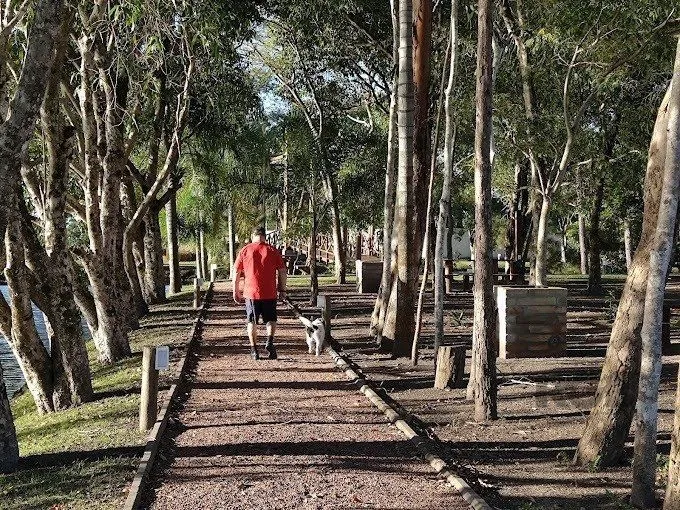 Imagem Casa de Condomínio em Arroio Teixeira