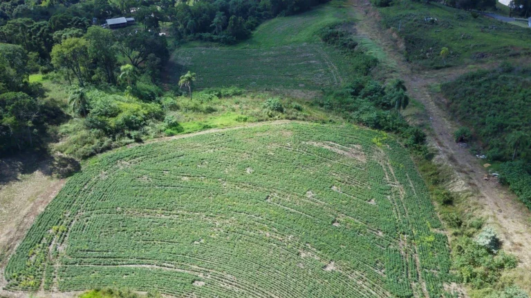 Imagem Terreno para Venda em Concórdia, Arvoredo