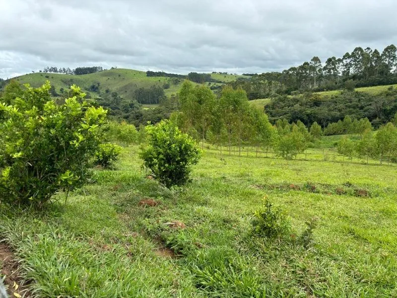 Imagem Vende-se Maravilhoso Sítio em Entre Rios de Minas - com 10 hectares de terra