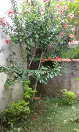 Imagem Casa com 1 dormitório à venda, 133 m² por R$ 350.000,00 - Jardim Antônio Picosse - Poá/SP