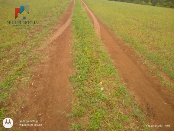 Imagem Fazenda Região de Itapetininga SP