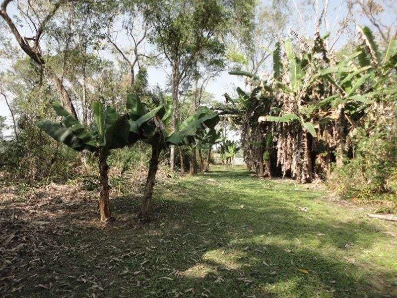 Imagem Chácara para Locação 2 Quartos, 137597.47M², Ribeirão Grande, Pindamonhangaba - SP