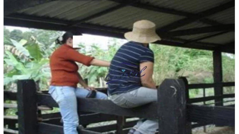 Imagem Excelente Sítio em Juquiá!
