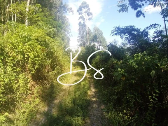 Imagem SITIO RURAL em NOVA PETRÓPOLIS - RS, Linha Brasil