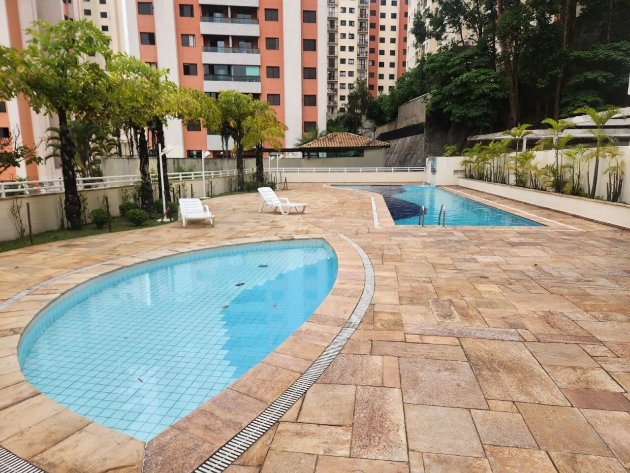 Imagem Apartamento de 50 metros 2 dormitórios 1 vaga a venda na Vila Sônia