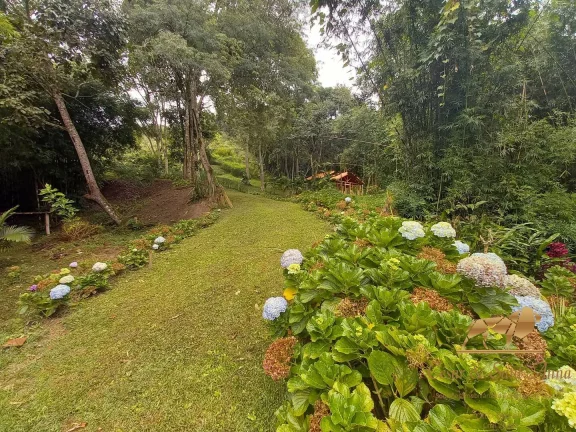 Imagem Chácara à venda, 30000 m² por R$ 1.700.000,00 - Renópolis - Santo Antônio do Pinhal/SP