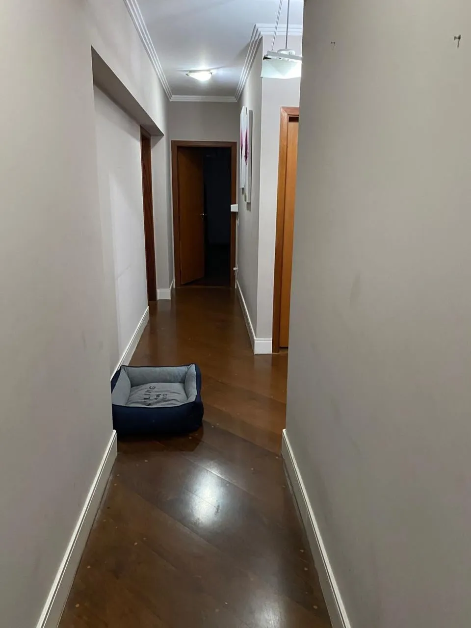Imagem Apartamento à Venda Edifício Maxims, 4 quartos, suítes, 3 vagas, 238m²· Santo Antônio · São Caetano do Sul/SP