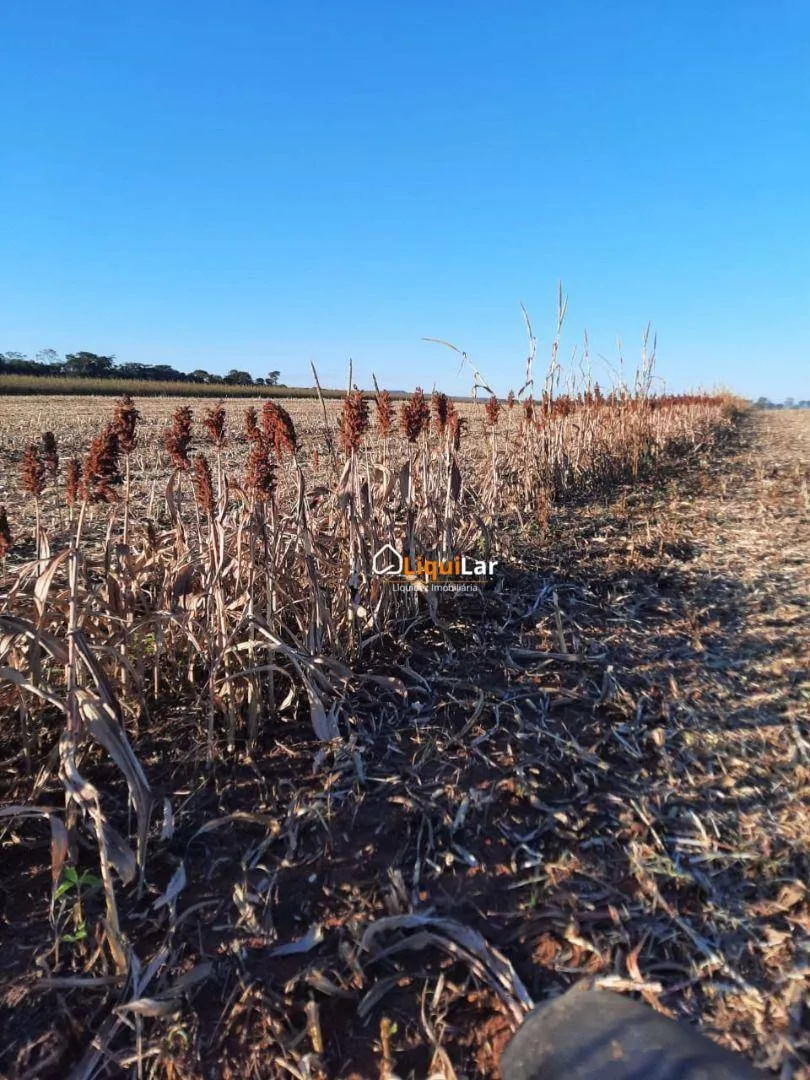 Imagem 163 Hectares - Bandeirantes/MS