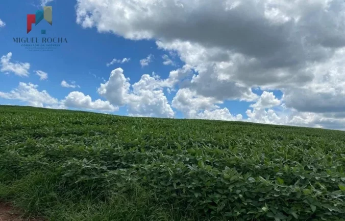 Imagem Fazenda região de Avaré SP