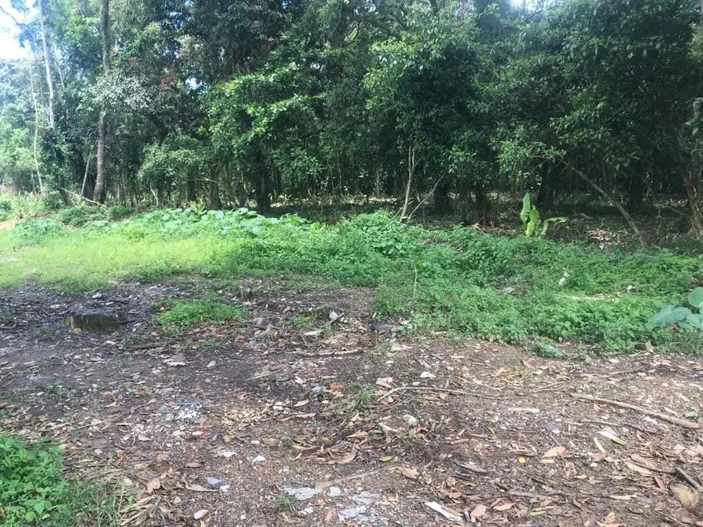 Foto do imóvel Terreno à venda 1423M², Jardim Carolina, Ubatuba - SP