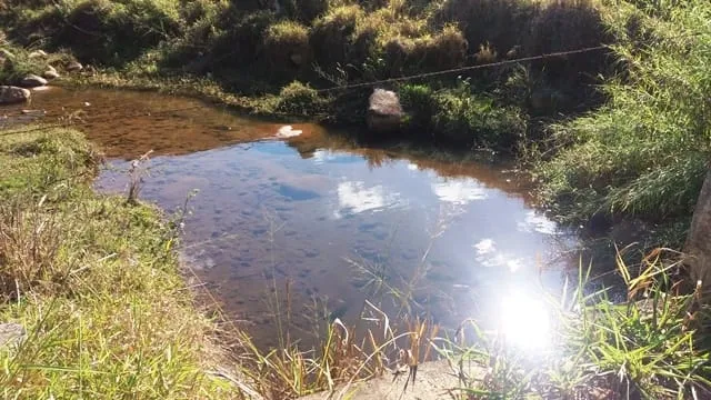 Imagem Chácara à venda Zona Rural, Cruzeiro - SP