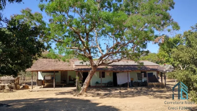 Imagem Fazenda a venda Oportunidade Única em Niquelândia Goiás- GO