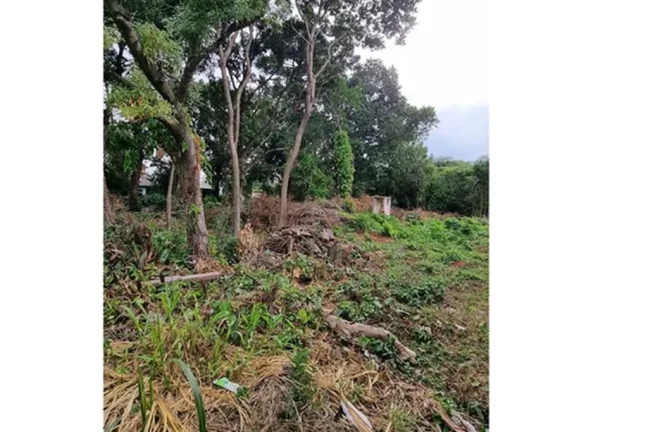 Imagem NQ 305 Lote 610371008-98 - Terreno à venda no bairro Nonoai - Porto Alegre/RS