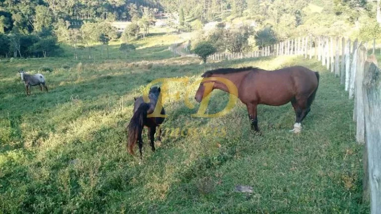 Imagem Fazenda em Joanópolis