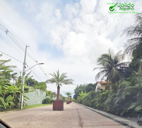 Imagem ???? Oportunidade Imperdível de Lote no Reserva Terra Brasilis! ????