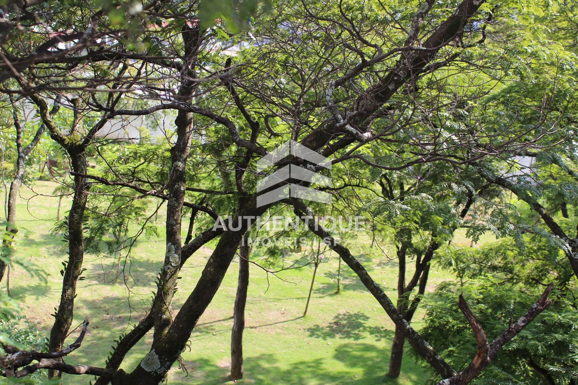 Imagem BOSQUE MARAJOARA - Apartamento à venda em São Paulo/SP
