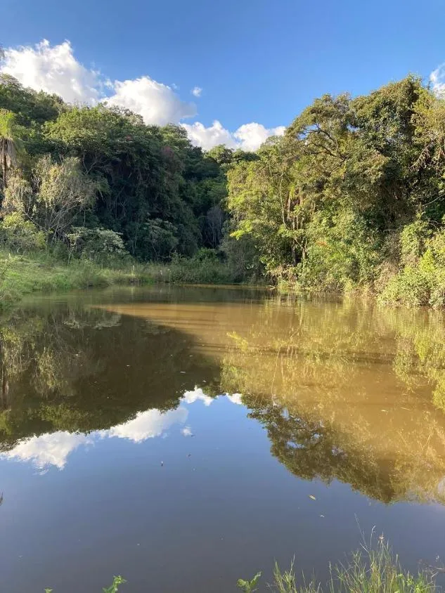Imagem Vendo lindo sítio/fazendinha com 27 hectares de terra, localizado próximo a Florestal/MG.