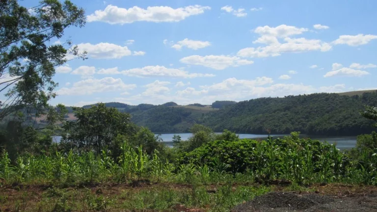 Imagem Terreno para Venda em Concórdia, Lageado Paulino