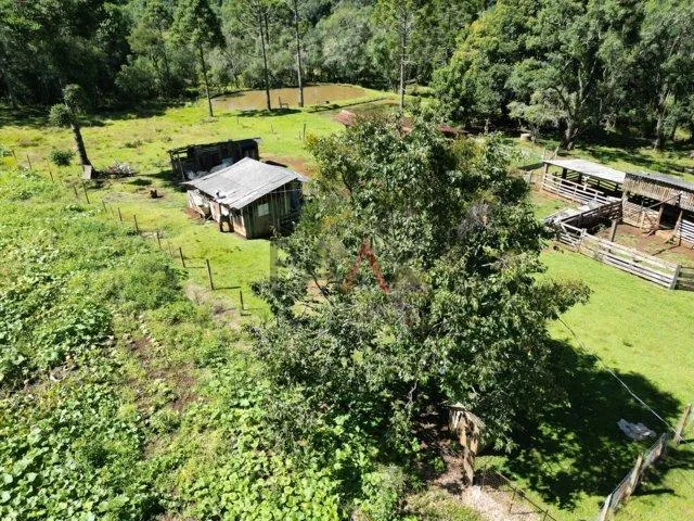 Imagem Chácara à venda,122.962,16 m , Distrito do Guairacá, GUARAPUAVA - PR