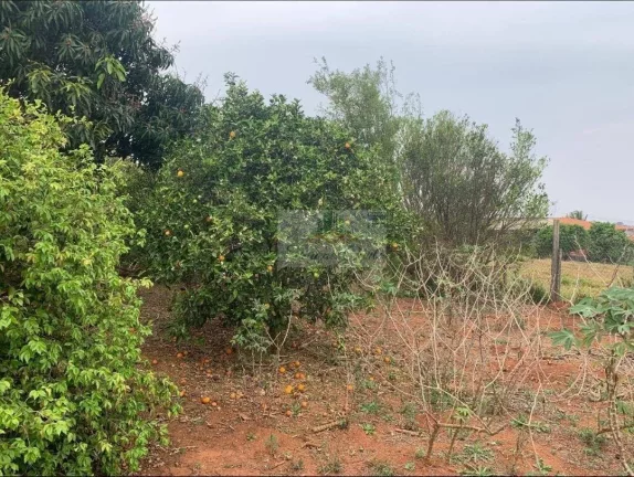 Imagem CHÁCARA JARDIM CANANÉIA