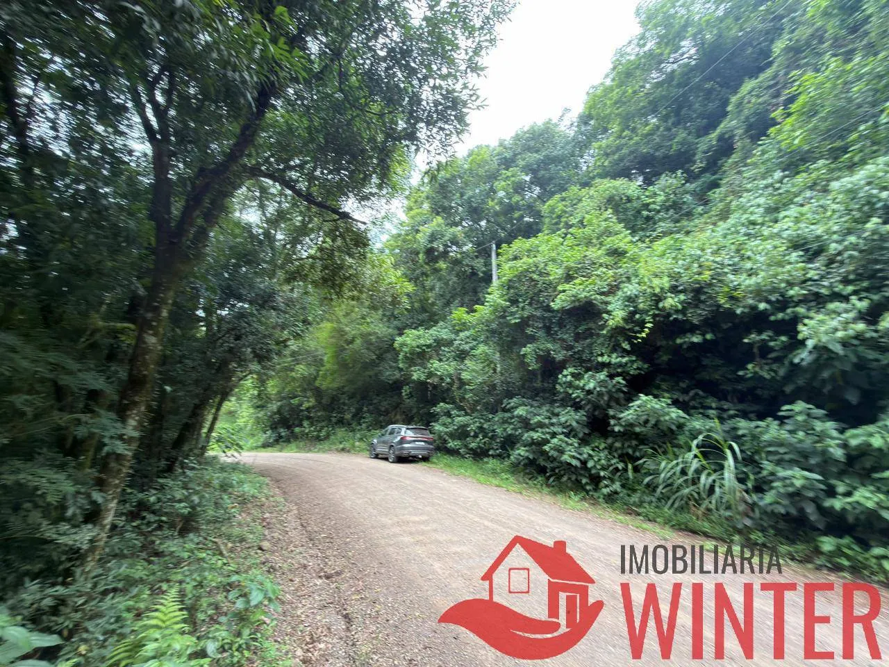 Imagem Area com 10.571 m2 no São Roque, Feliz
