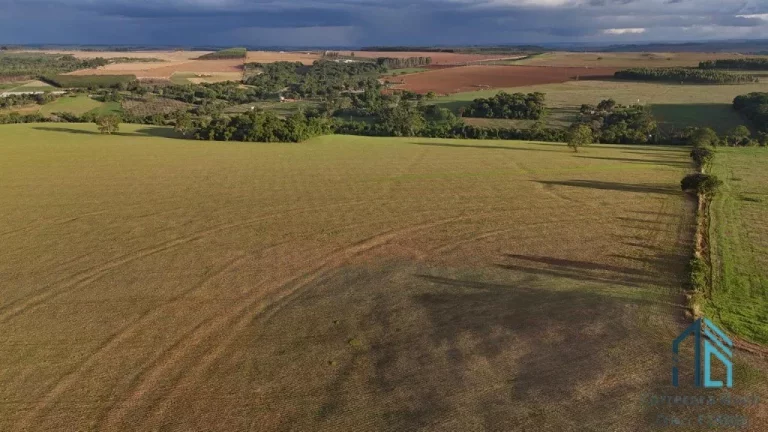 Imagem Fazenda Anápolis Goiás-GO Grande Potencial para Pecuária, Agricultura, Loteamento e Mineração