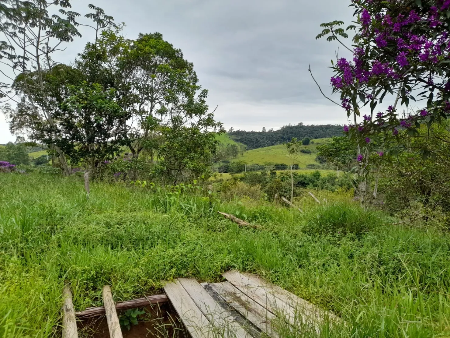 Imagem Terreno à venda 10000M², Mandú, Pindamonhangaba - SP