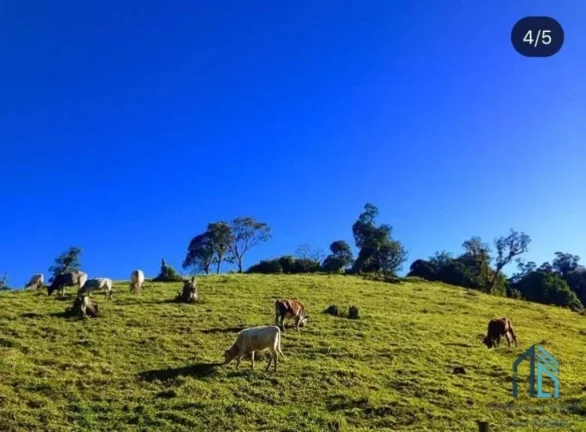Imagem Sítio ótima localização, documentada, 15 alqueires com casas, Tijucas do Sul - PR
