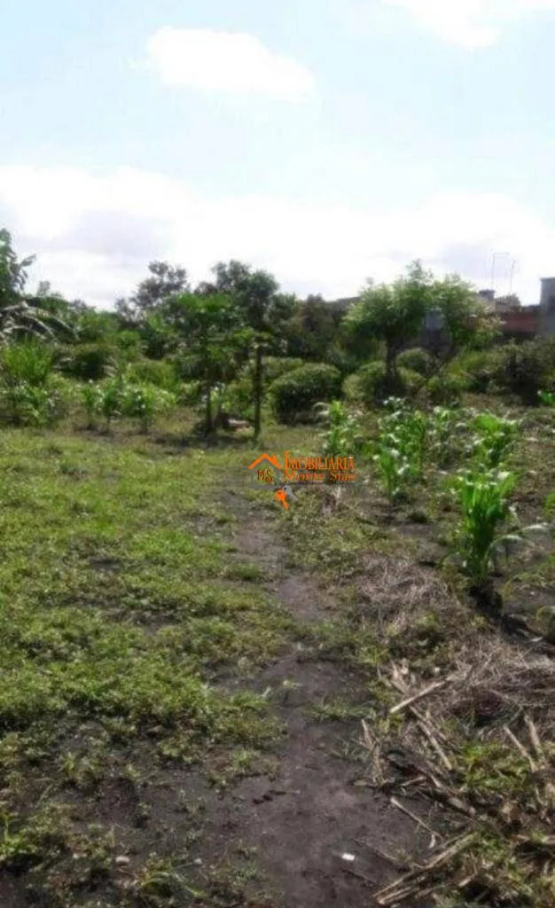 Imagem Área, 6000 m² - venda por R$ 12.950.000,00 ou aluguel por R$ 50.000,00/mês - Jardim Presidente Dutra - Guarulhos/SP